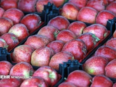 جزئیات توزیع میوه شب عید در استان قم/آدرس غرفه‌های تنظیم بازار