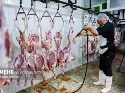 ذبح هزار راس دام برای کمک به نیازمندان استان قم
