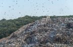 ۵۰ درصد از ۷۰۰ تن زباله تولیدی در قم قابلیت دفن مستقیم ندارند